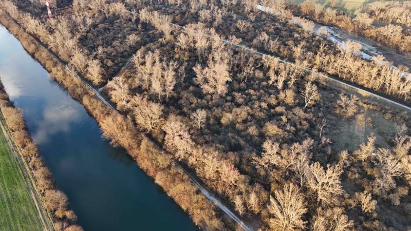 A river surrounded by trees on recreational grounds in the town of Nová Ves nad Váhom.