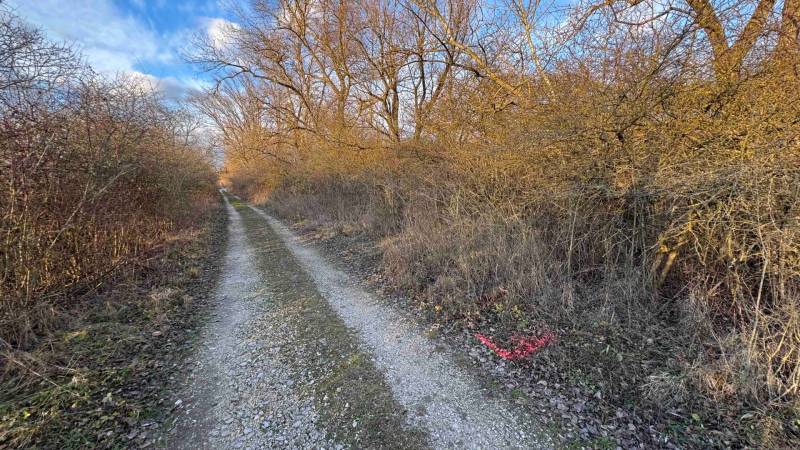 A forest path between bushes and tall trees in the Recreational Grounds in Nová Ves nad Váhom.