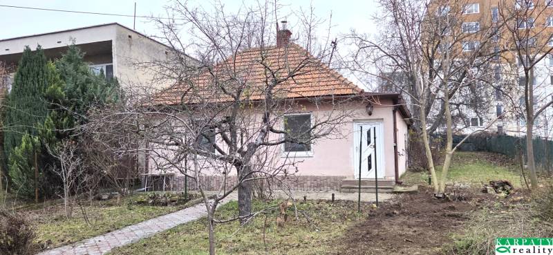A family house on 29th August Street in Levice is surrounded by trees and a garden.