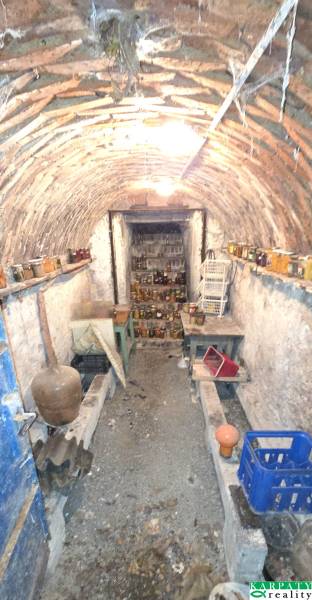 A basement in a family house with a brick ceiling and shelves with preserves.