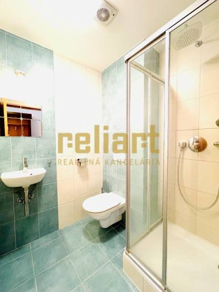 Bathroom with toilet, shower, and sink in a 4-room apartment.