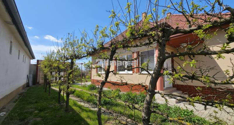 A family house in Križovany nad Dudváhom with a front garden, fresh greenery, blue sky.