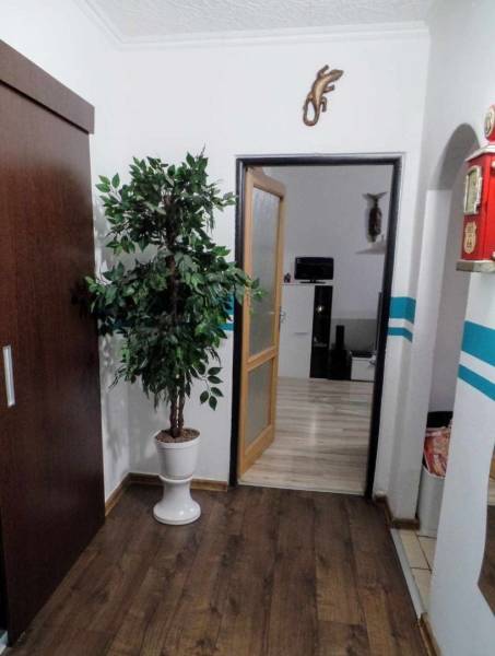 Interior of a 3-room apartment with a plant, wooden decor flooring, and a transition to another room.