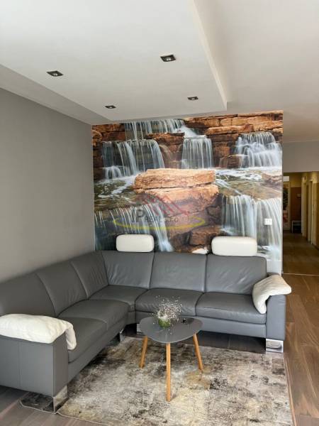 A living room with a sofa, waterfall wallpaper, and wood-patterned flooring in a four-room apartment.
