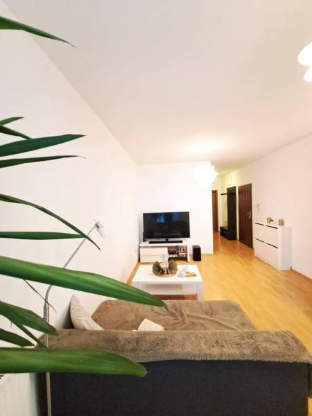 Living room in a two-room apartment with a wooden decor floor, TV, and a comfortable couch.