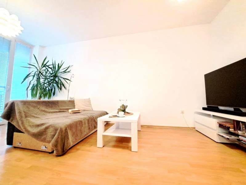 Living room in a two-room apartment with a wooden decor floor, a sofa, and a television.