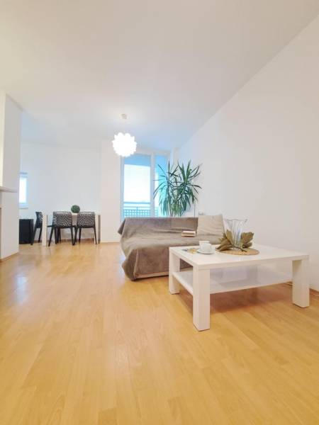Living room in a two-room apartment with a wooden decor floor, sofa, and coffee table.