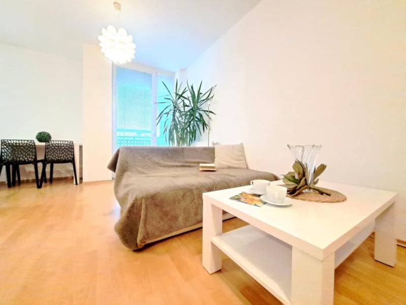 Living room in a two-room apartment with a wood-patterned floor, a sofa, and a table.