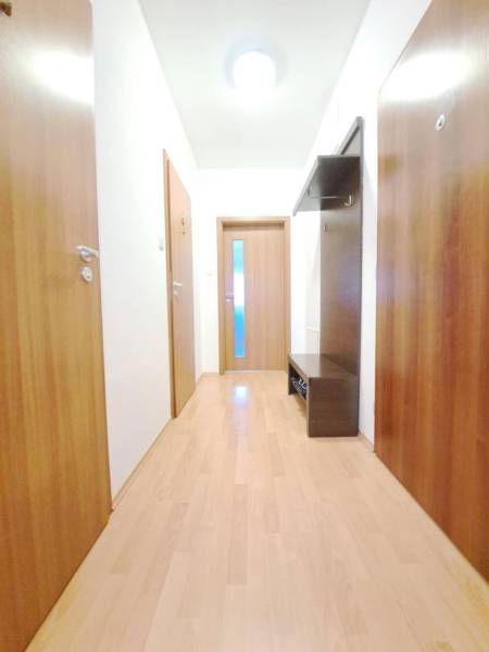 A hallway in a 2-room apartment with a wooden decor floor and a built-in wardrobe.