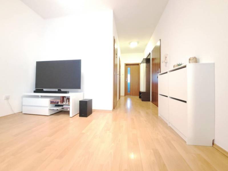 Living room in a two-room apartment with a television and a wooden-patterned floor.