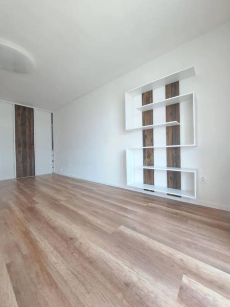 Living room in a two-room apartment with a wooden decor floor and white walls.
