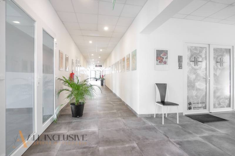 A bright corridor with a flower and paintings, on Vajanského Street, suitable for commercial spaces.