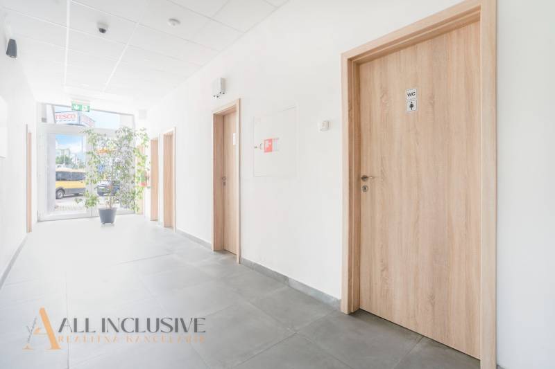 Hallway in the offices on Vajanského Street in Galanta with wooden doors and a plant.