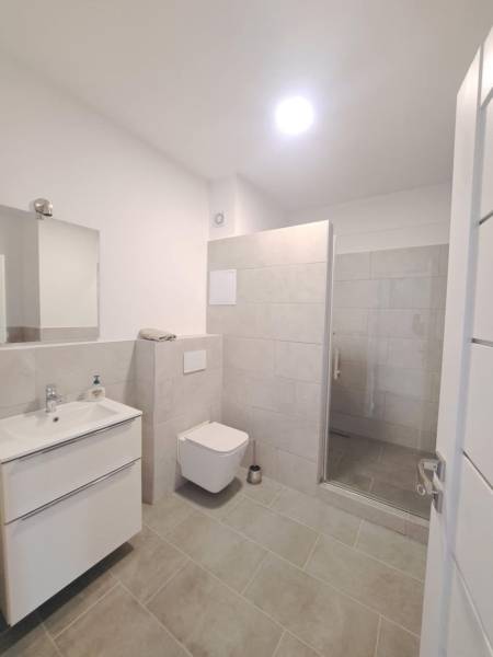 Bathroom with a white sink, wall-mounted toilet, and shower enclosure with modern tiles.