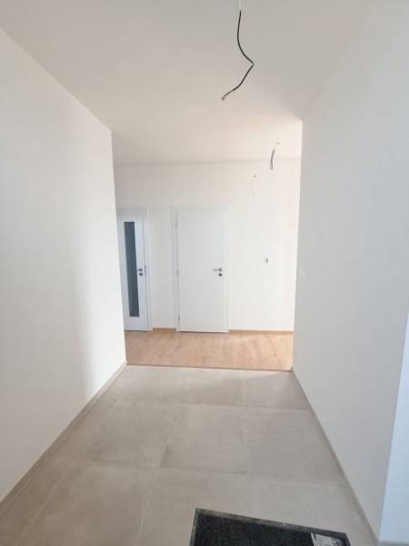 A hallway in a family house with two white doors and a wooden decor floor.