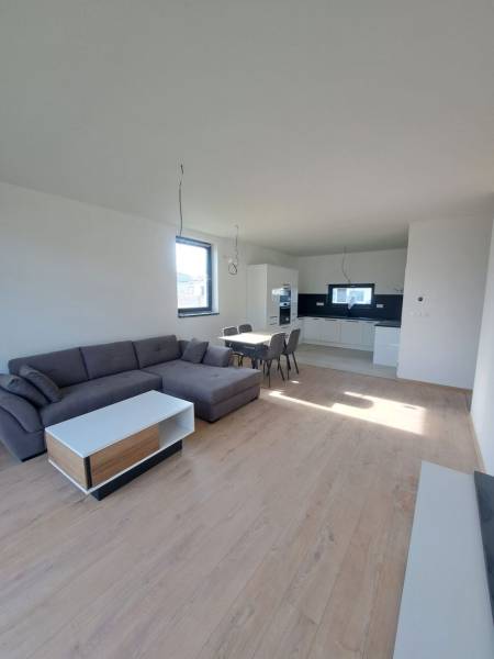 Living room in a family house with a kitchen, sofa, and floor with a wooden decor.