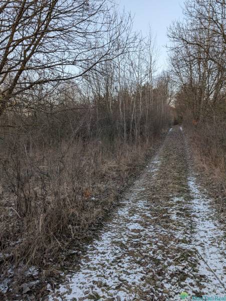 A forest path covered with leaves and snow in the gardens of Košice - the Šaca district.