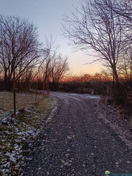 A gravel path between trees in the Gardens in Košice - the Šaca district during a winter evening.