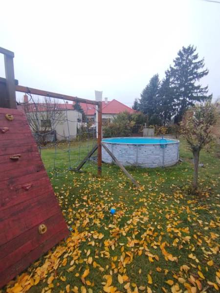 Garden area in Dunajská Streda with a swimming pool and climbing wall by the family house.