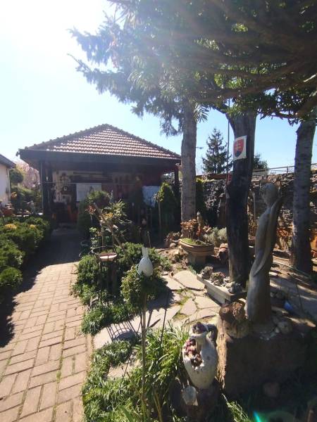 A family house in Šaľa with a beautiful garden, sculptures, and trees in the background.