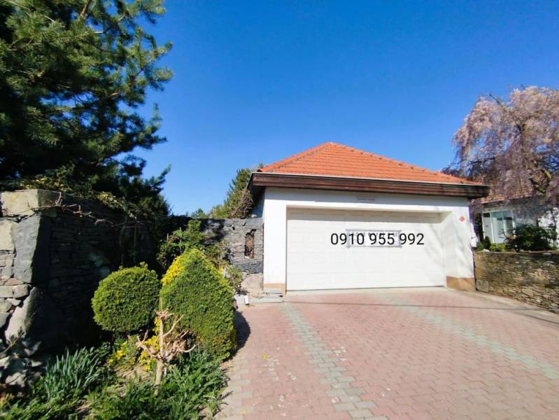 A family house in Šaľa with interlocking paving, a red roof, and a landscaped garden.