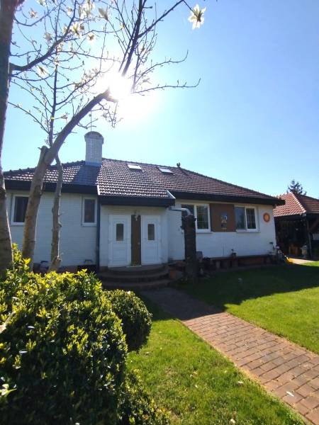 Family house in Šaľa with a garden, brick path, tree and shrubs in front of the entrance.