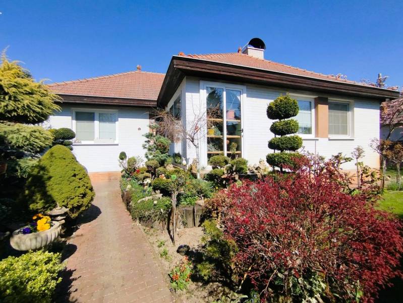 A family house in Šaľa with a landscaped garden, pathway, and greenery under a blue sky.