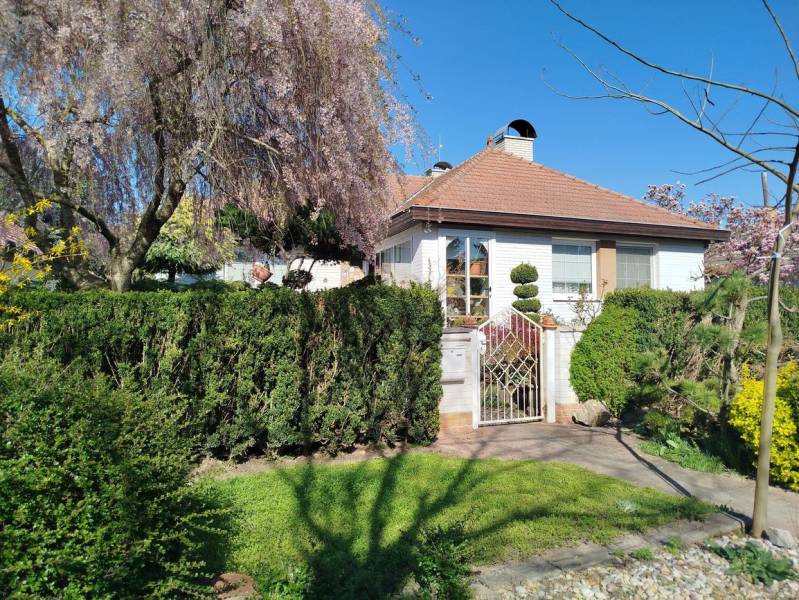 A family house in Šaľa with a landscaped garden, blooming trees, and a hedge.