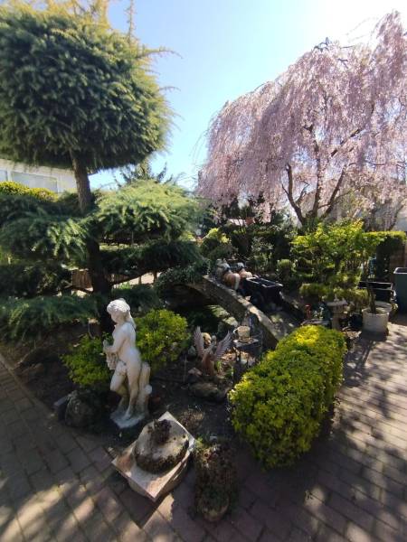 The garden of a family house in Šaľa with a statue, trimmed shrubs, and blooming trees.