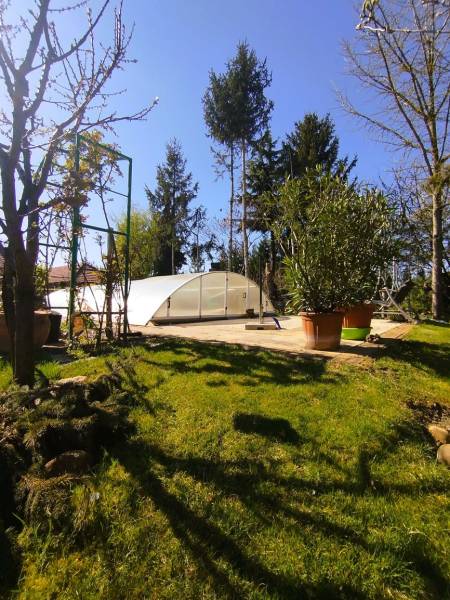 A swimming pool with a cover in the garden of a family house in Šaľa, surrounded by trees and shrubs.