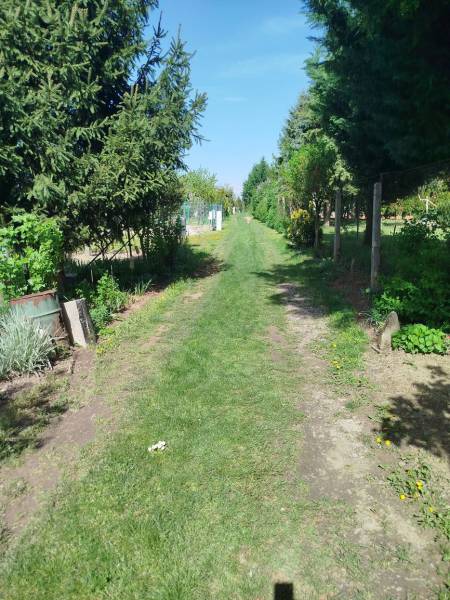 Gardens in Šaľa with green lawns, bordered by trees and shrubs.