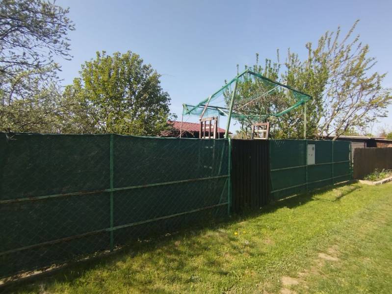 A plot with greenery in the gardens in Šaľa, a sunny day with a blue sky.