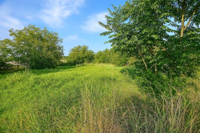 A green residential plot in Veľké Zálužie surrounded by trees and a blue sky.
