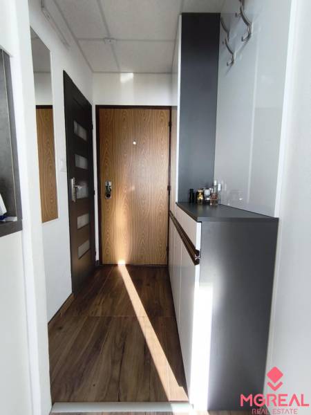 Entrance hall in a one-room apartment with a wood-patterned floor and a wardrobe.
