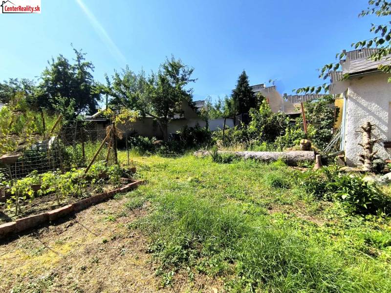 A garden at a family house in Partizánske with diverse plants and a grassy area.