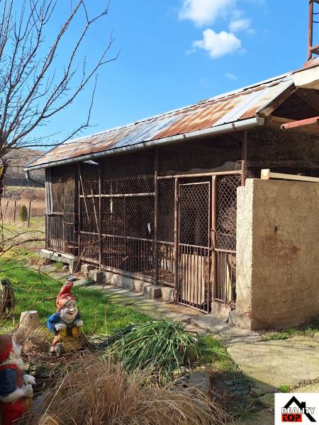 A shed in the garden of a family house in Tachtoch with gnome statues and a tree.