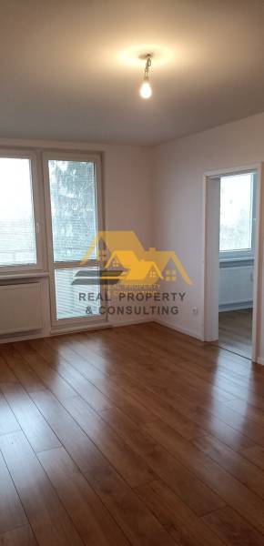 Bright 2-room apartment with wood-patterned flooring and large windows.