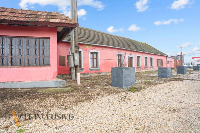 A family house in Šintava with a pink facade, a gravel path, and tall flower pots.