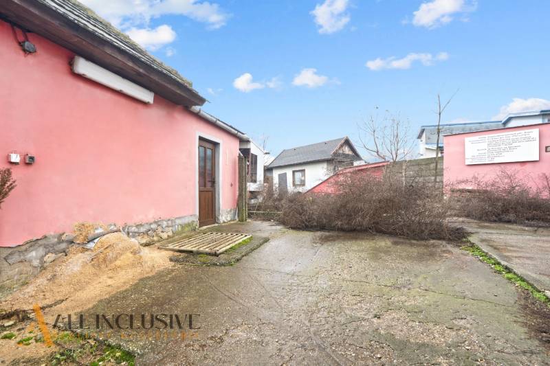 The exterior of a family house in Šintava with a pink facade, yard, and shrubs.