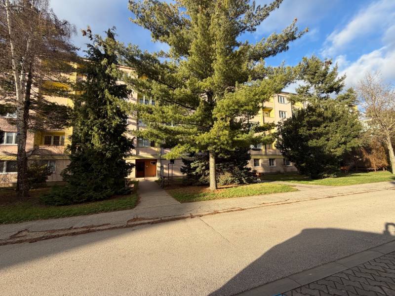 Apartment building with conifers in front of the entrance on Kalinčiakova Street in Senica.