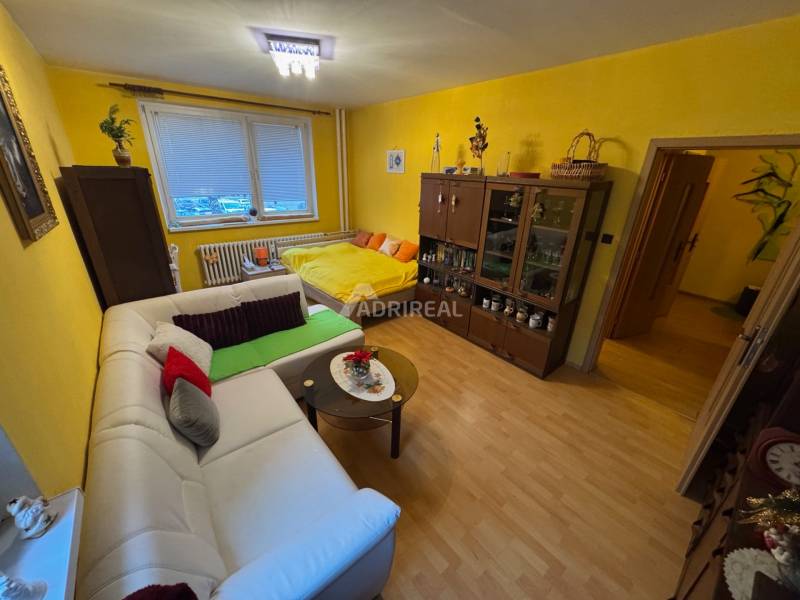 Living room with wood-patterned flooring, sofa, and bed in a studio apartment.