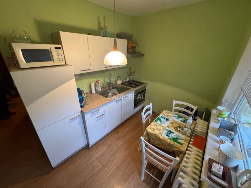 A kitchen with green walls, white cabinets, and a wood-patterned floor in a studio apartment.