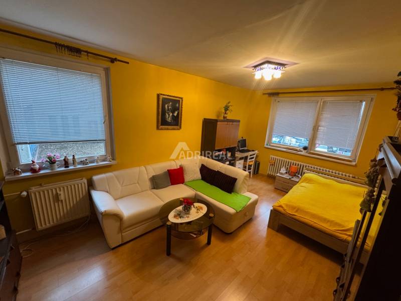 Yellow walls in a one-room apartment with a sofa, bed, and wooden decor flooring.