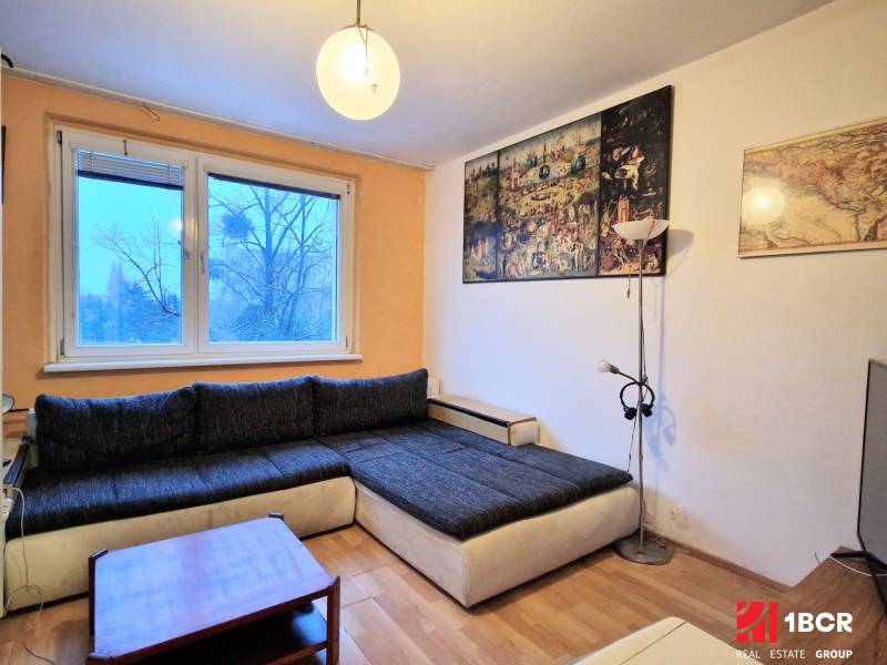 Studio apartment with a living area, corner sofa, wooden decor flooring, and decorative paintings on the wall.