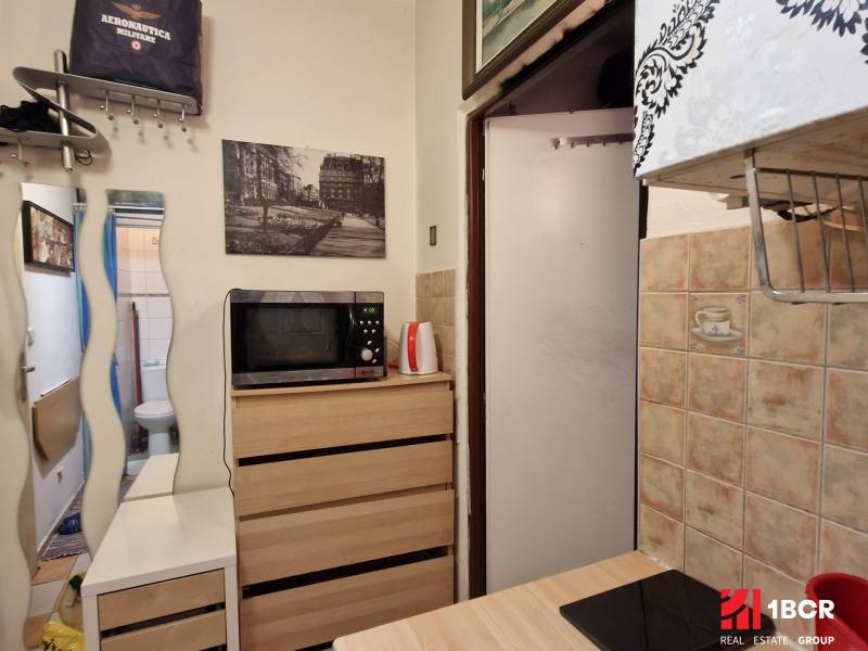 Studio apartment with a kitchenette, microwave, built-in wardrobe, and mirror.