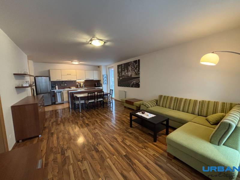 Living room with kitchen, green sofa, kitchen unit, and floor with wood decor.