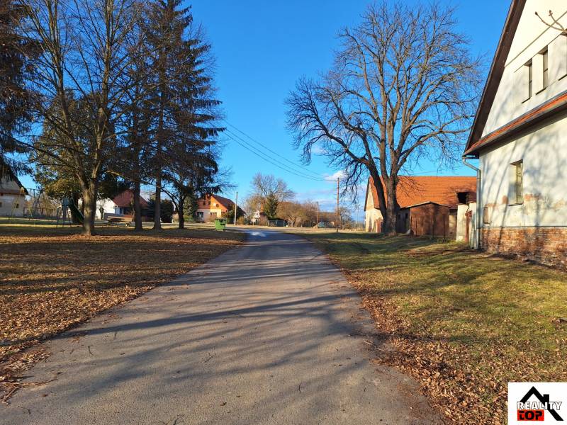 A peaceful street with family houses in Orávka, lined with trees and grassy areas.