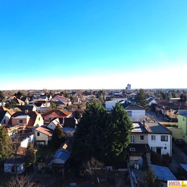 Record of homes and trees in the Hornadska neighborhood in Bratislava - Medzi jarkami.