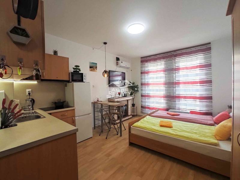 Recreational apartment with a cozy kitchen, bed, television, and floor with wooden decor.