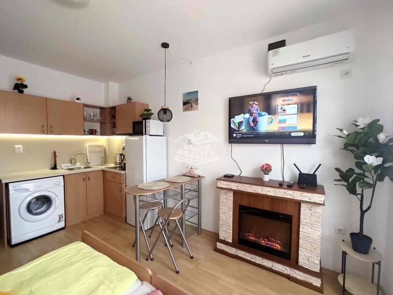 Recreational apartment with a kitchenette, built-in fireplace, and wood-patterned flooring.